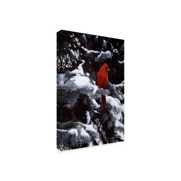 Ron Parker 'Cardinal In Blue Spruce' Canvas Art,16x24